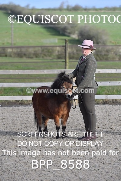 BPP_8588 - RING 2 - M&M