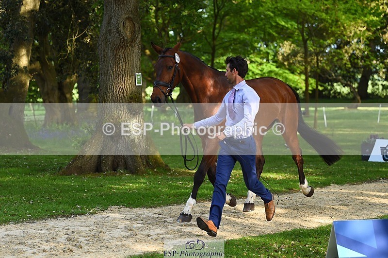 230524-172306-01479 - 180-GUEULE_DE_REVE-Arthur_Duffort-WEDTrotUp+DR