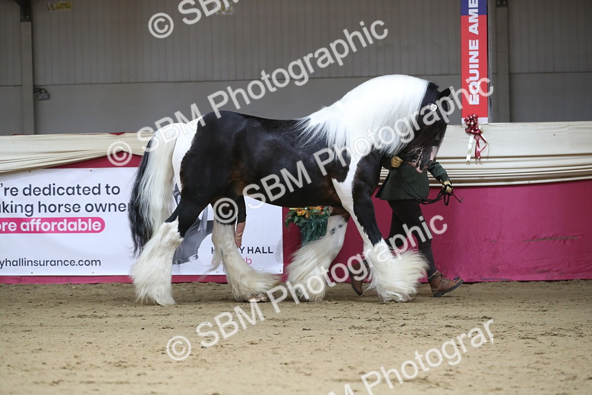 SBM_01323 - Class 3a Area IH Pre Vet
