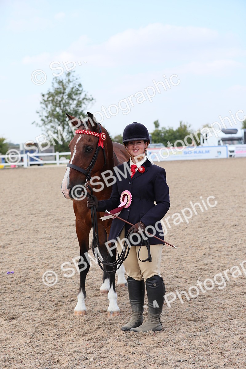 SBM_15875 - Class 312 IH Competition Horse/Pony