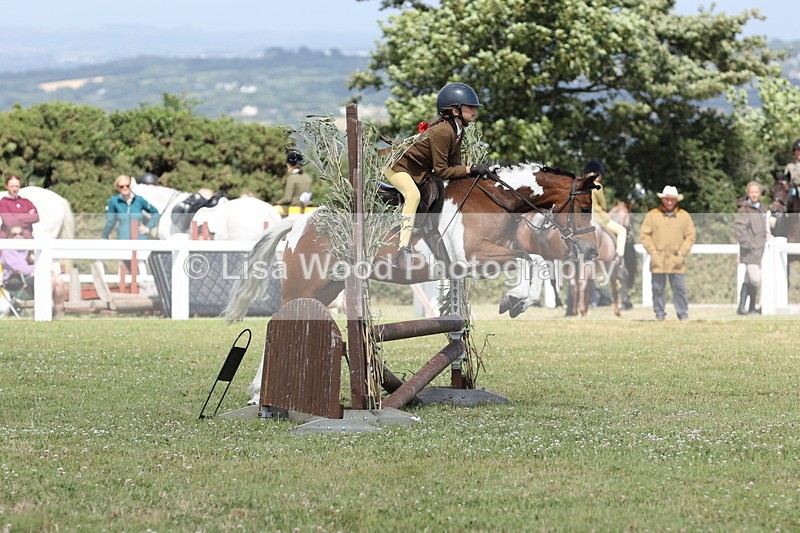 JPP_2154 - Class 19: Working Hunter 60cm