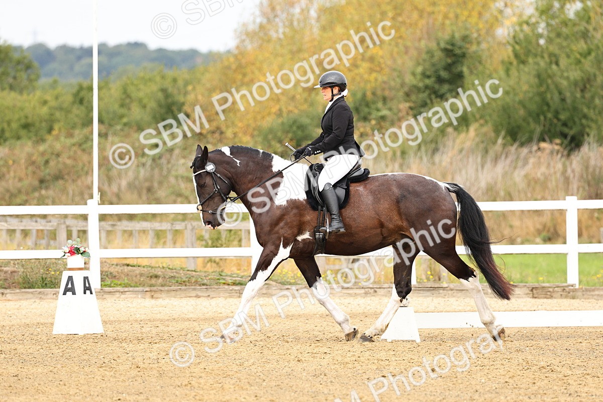 SBM_012216 - Class 2 - Prelim 5