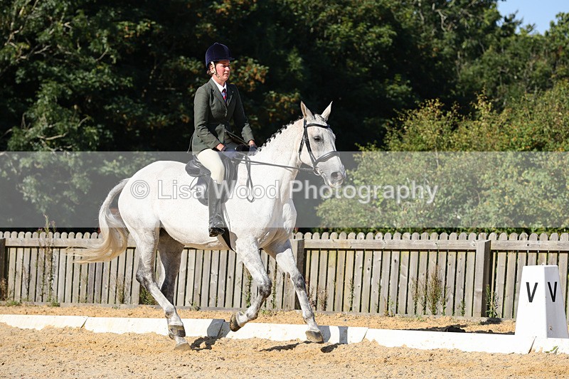 1X9A7740 - Class 9: Open Ridden Hunter