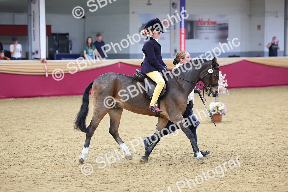 SBM_23617 - Class 904 - Supreme Final Ridden Diamond