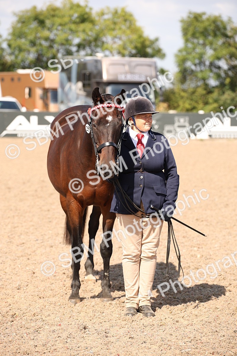 SBM_03060 - Class 17 Prettiest Mare IH or Ridden