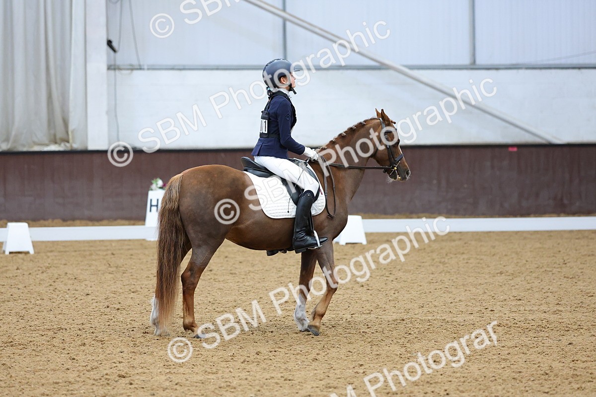 SBM_003686 - Novice