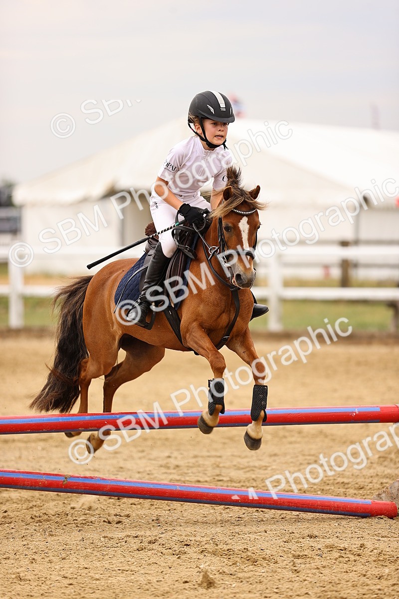 SBM_002208 - Class 3 - 60cm