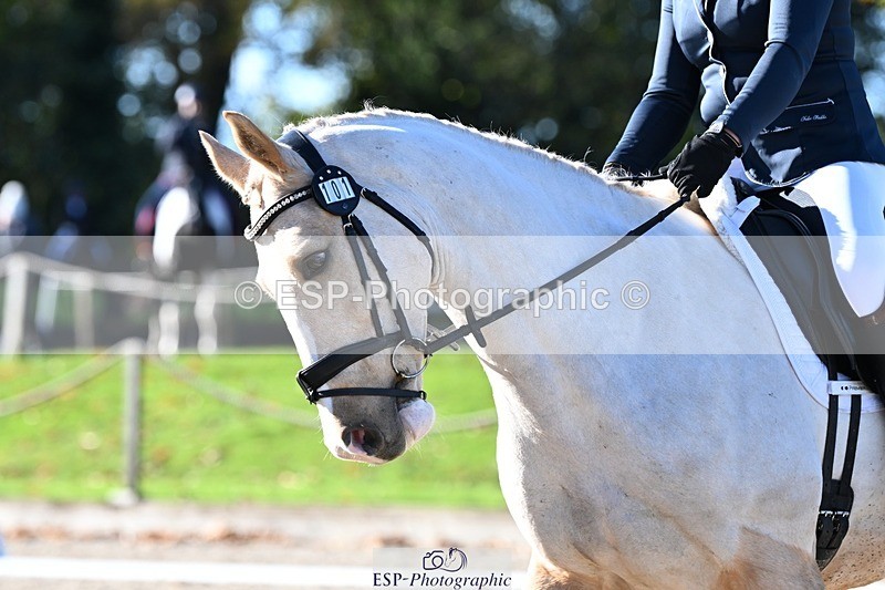 231110-111244-00347 - Cls 2 Prelim 17(a)Q