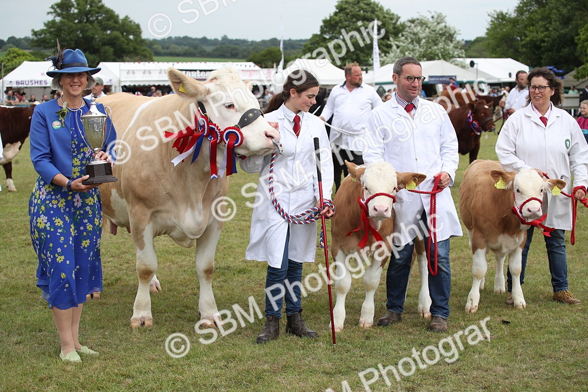 SBM_07900 - Grand Parade
