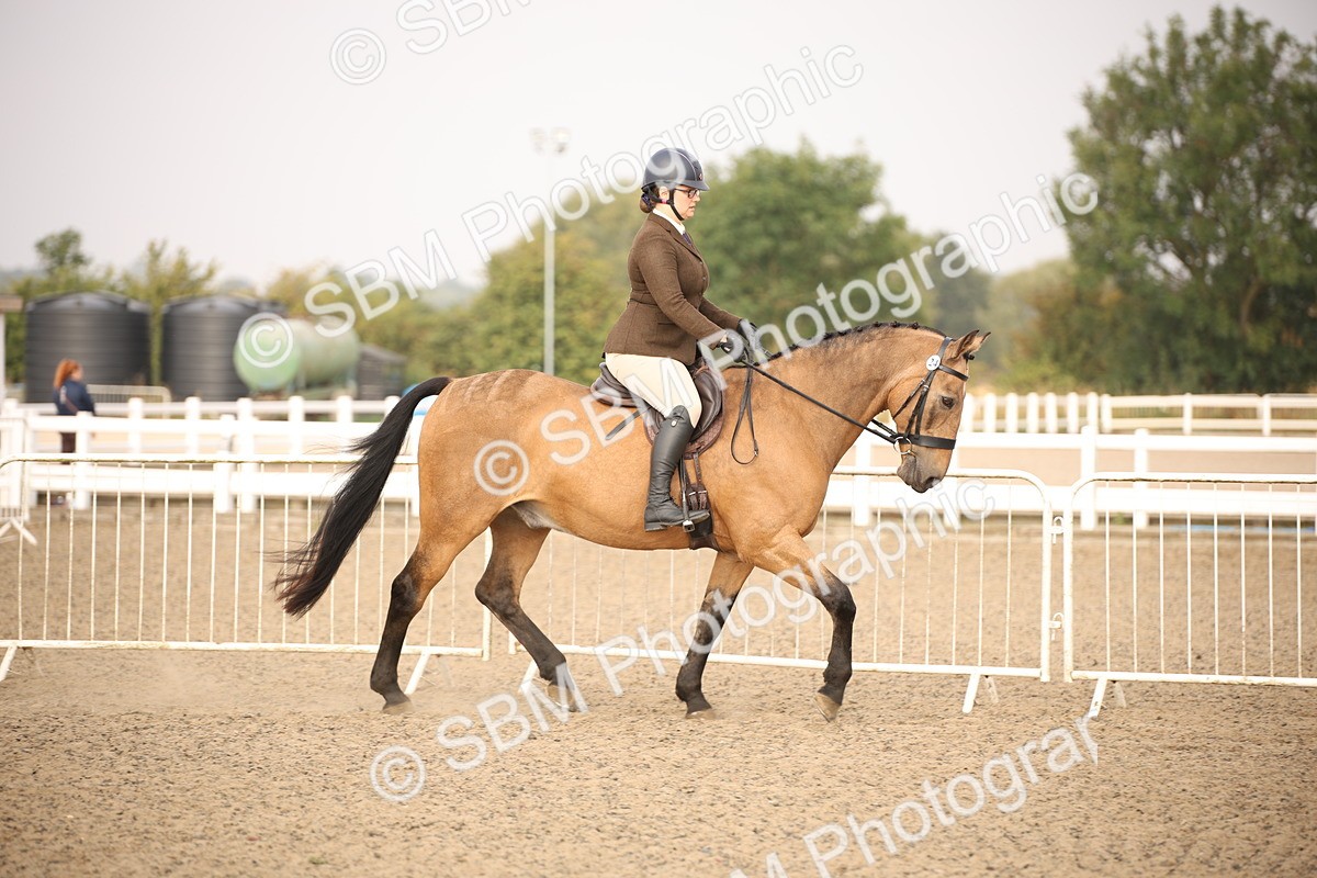 SBM_10194 - Class 402 Riding Club Horse