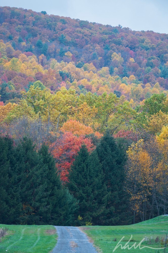DSC_7701 - Autumn