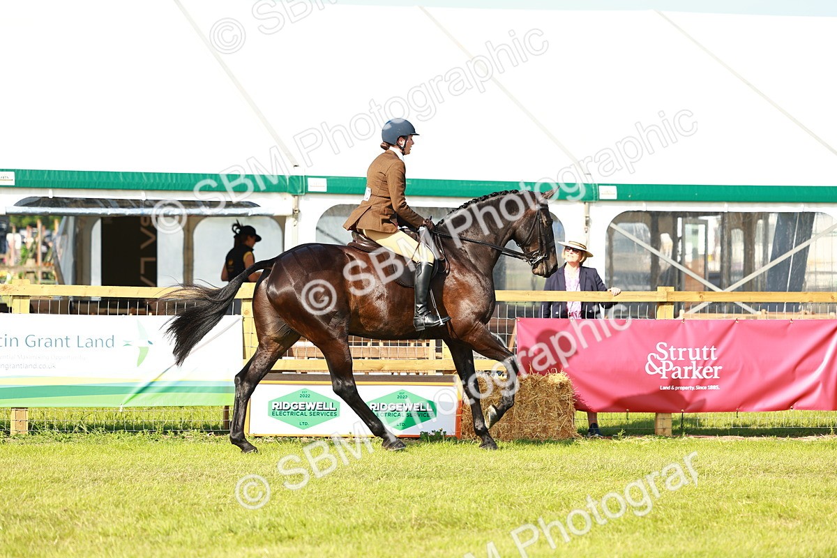 SBM_10896 - Class 66-69 - RIHS Ridden Hunters Inc Small Hunter