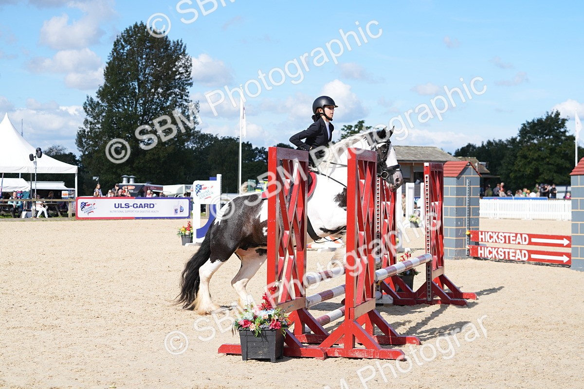 SBM_38829 - J21 - Junior Horse 60cm Championship