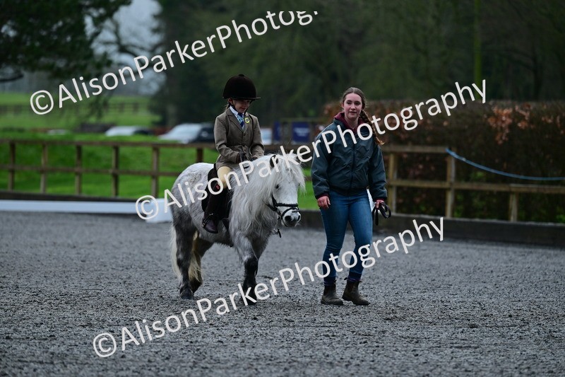 20260125-0803 - Class 9a - Walk Trot Assisted