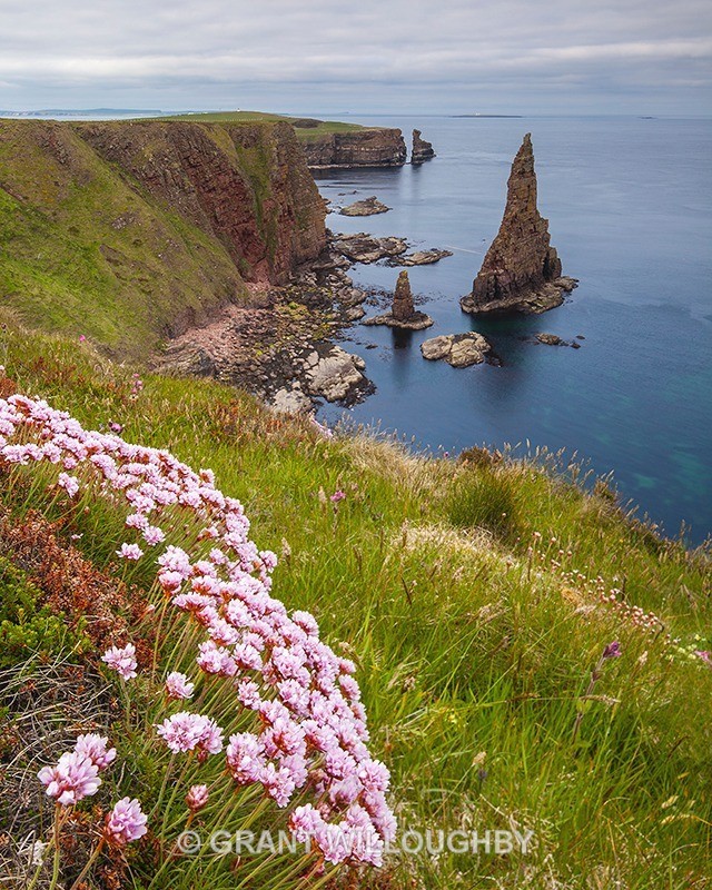  - Vertical Images