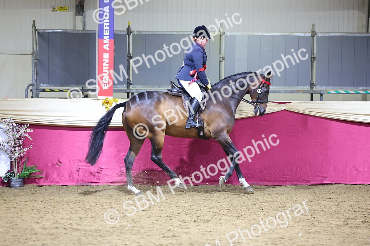 0B8A4296 - Class 108Ridden Retired Racehorse- Final Judging