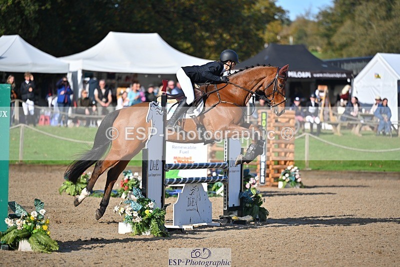 241027-101236-16266 - 301-Ilaria.Serra-DREAM.MACHINE