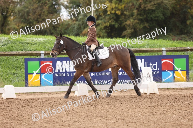 20251021-0032 - Class 2 - Intro 4