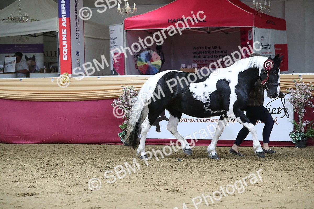 SBM_06509 - Class 9R Regional- IH Pre Vet