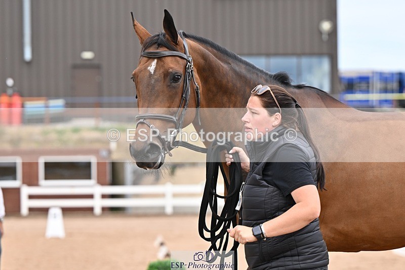 250716-162554-02637 - Trot Up 3.30 to 4.30