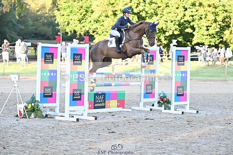 231022-090204-22782 - 213-MGH.HILDARE.HARLEQUIN-Danielle.Mccormack-SJ