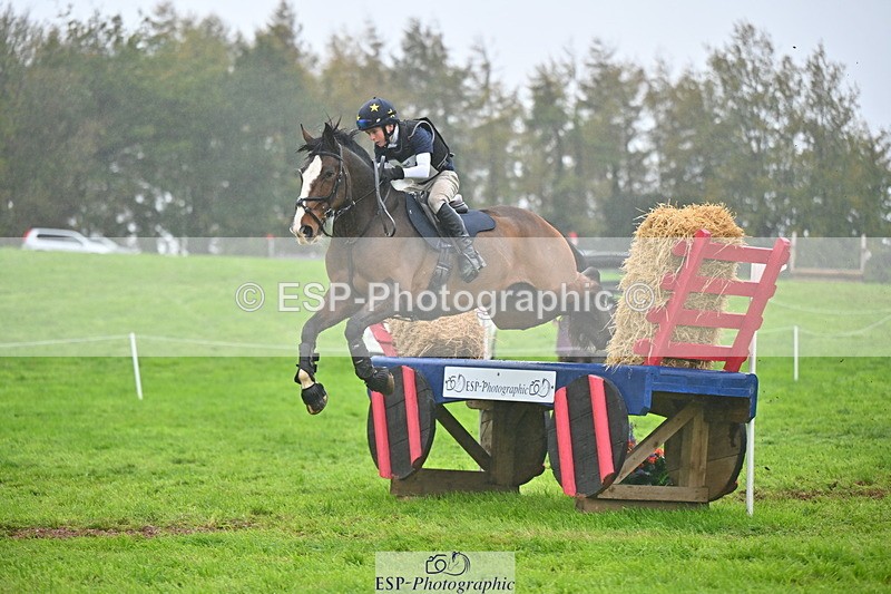 251025A-103051-16702 - D-351-Thomas.Harris