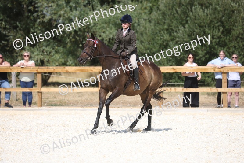 20260802-0735 - Class 8 - Best Riding Horse or Pony