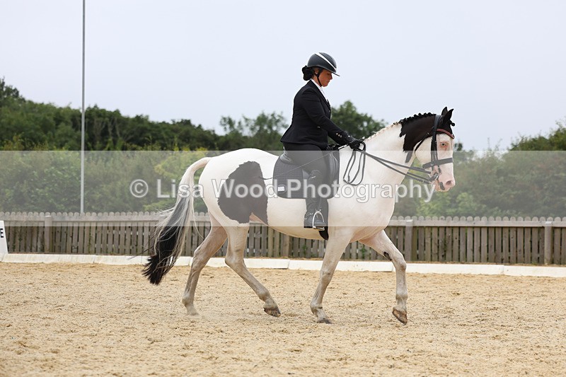 3E7A7341 - Class 9: Elementary 4 2024 - No sections