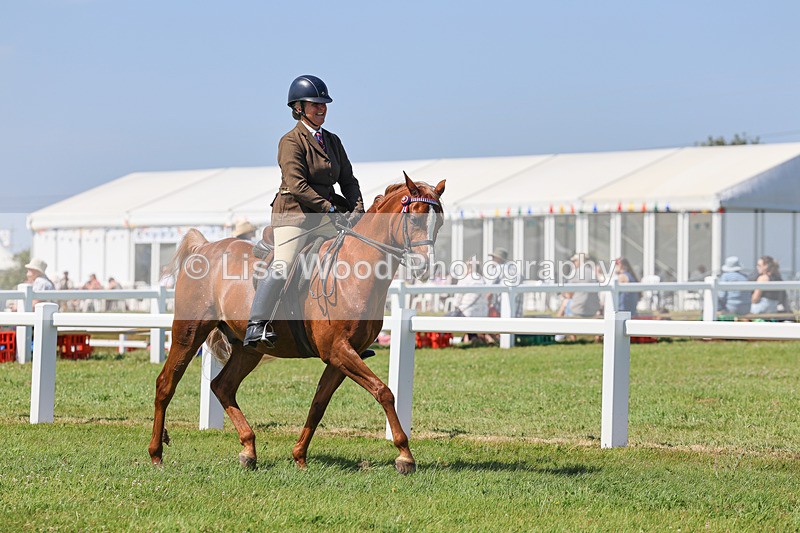 IMG_2207 - Class 37: Pure, Anglo & Part Bred Ridden Arab