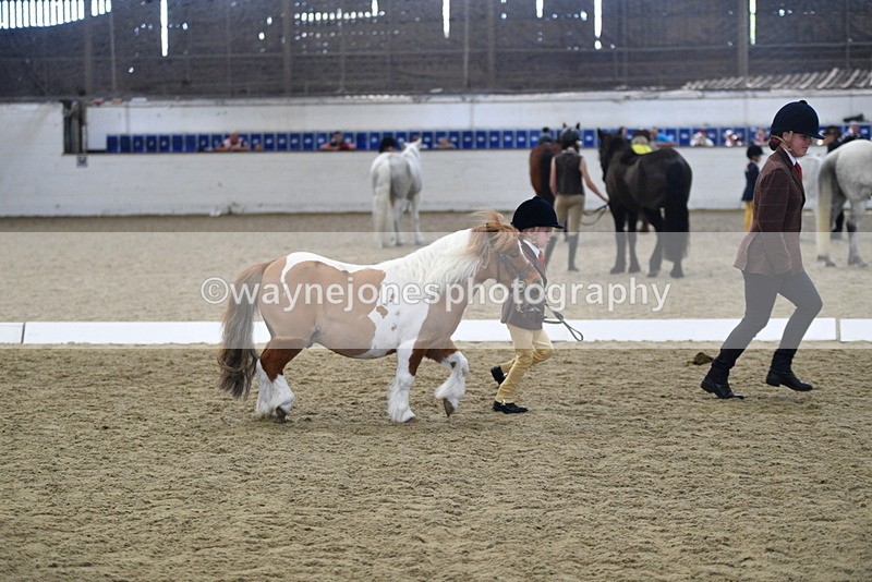 WJ5_4929 - Class 7 In hand coloured / odd coloured