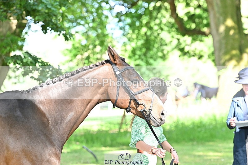 250521A-163236-01208 - C-230-Bella.Stevens-SHANAGORE.LUSTY