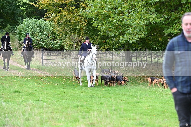 WJ6_0055 - Camera 2 Meet