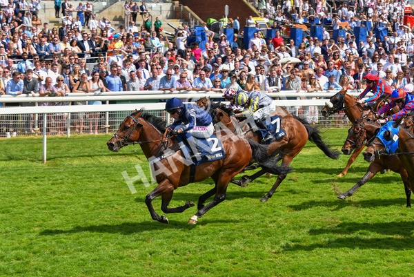 270523-Race 3-Chipstead-4237 - Race 3 2.40pm William Hill Epic Boost Handicap