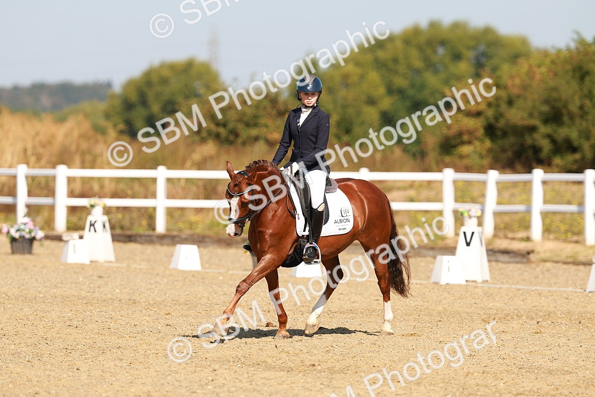 SBM_016800 - Class 9 - N5 Bronze 9.30.10.19