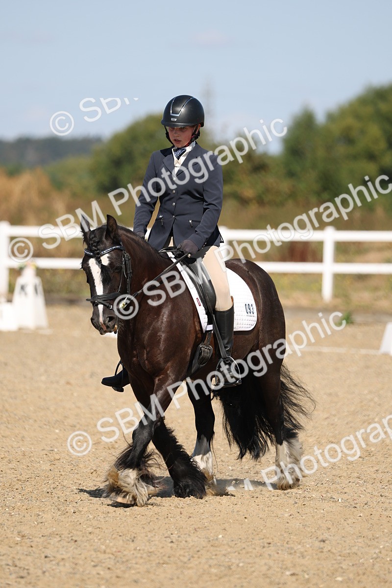 SBM_013535 - Class 1 - P5 Bronze 10.38.12.02