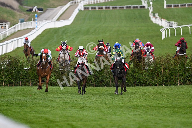 120325-Race 4-Stumptown-6978 - 12th March