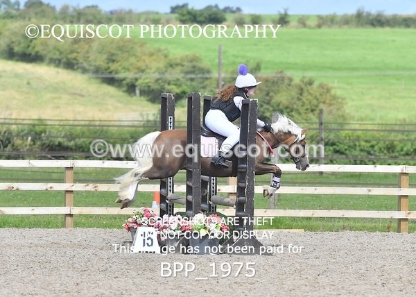 BPP_1975 - DERBY CLASS 5 - 60CM