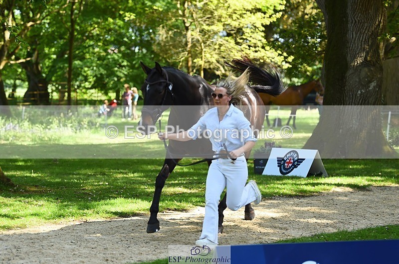 230524-152914-00300 - 351-TRINITY_CAVALIER-Henrietta_Horsley-gubbins-WEDTrotUp+DR