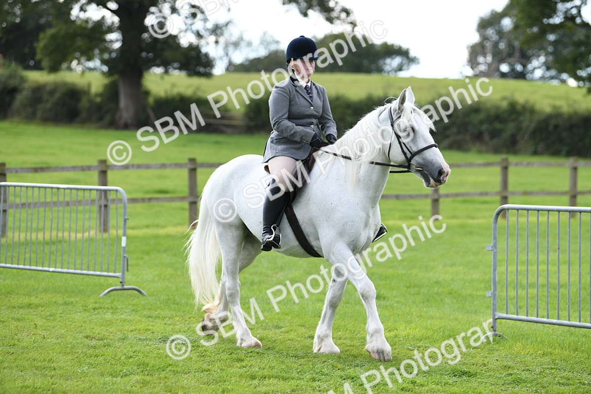 SBM_46694 - S12 - Family Horse & Pony