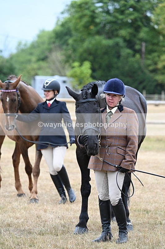 WJ7_0139 - Class 5a Most Handsome Gelding (above 14.2hh)