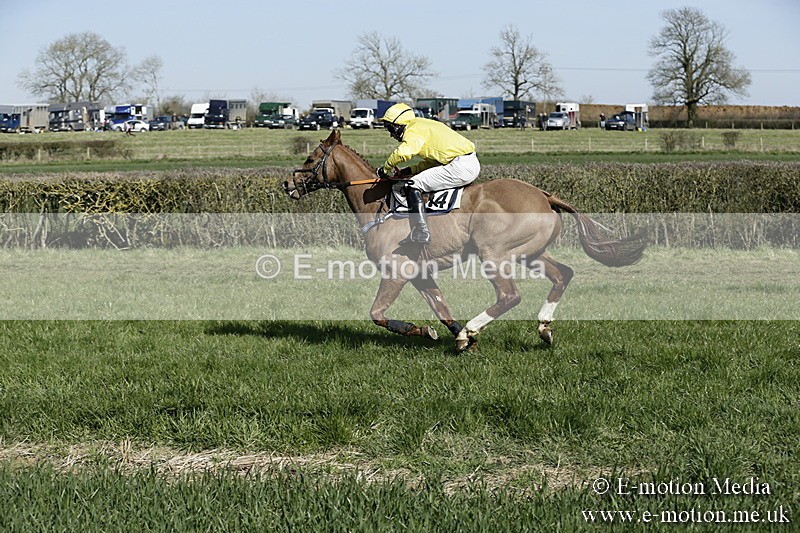 PtP 250317 132 - V.W.H. Hunt Point-to-Point Siddington 25/03/17