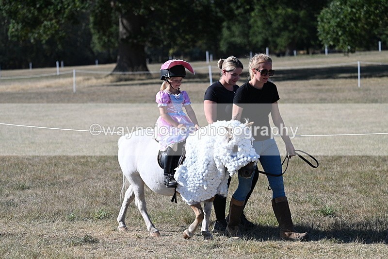 WJ7_2505 - Class 45 Fancy Dress (My Fav)