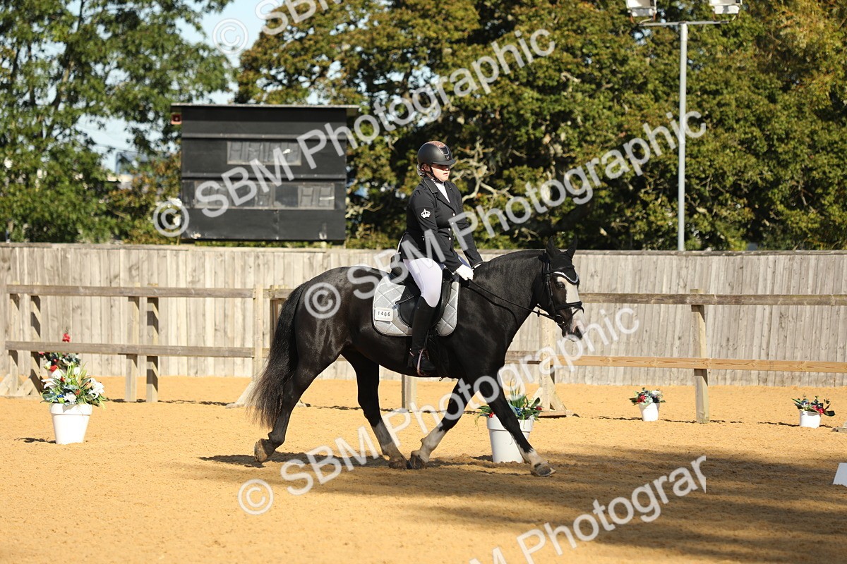 SBM_37916 - D21 - Junior Championship - Intro A
