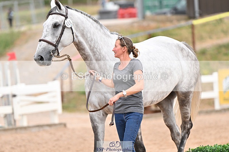 250716-152224-01884 - Trot Up 2.30 to 3.30