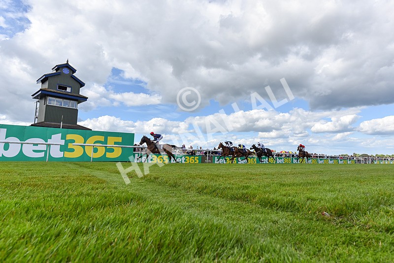 080624-Race 6-Walter Hartright-8251 - Race 6