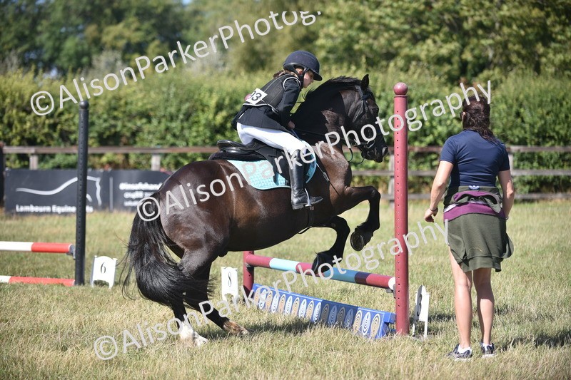 20260906-1699 - Class 9 - Absolute Novice Jumping 45cm