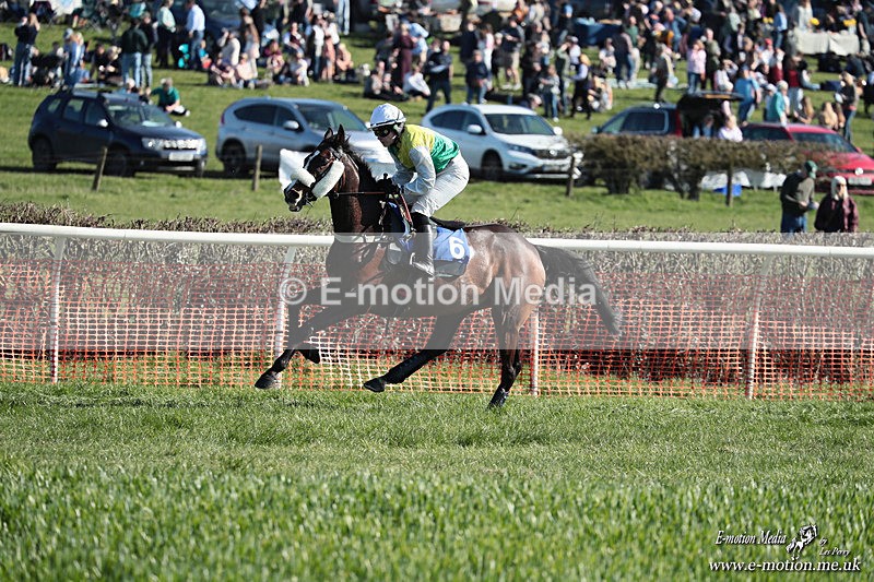 PtP 210326 290 - VWH Cirencester Races 21/03/26