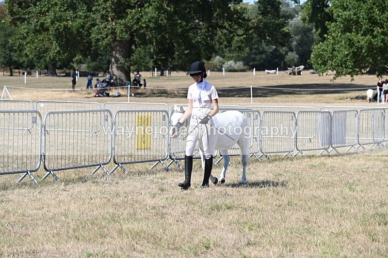 WJ6_9441 - Class 40 Cheekiest Pony/Horse