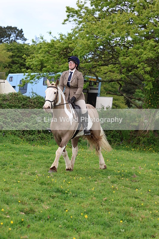 3E7A1475 - Class 8: Ridden Veteran Junoir and Senior