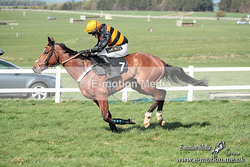 PtP 230324 567 - Tedworth Hunt PtP Larkhill Raccourse 23rd March 2024